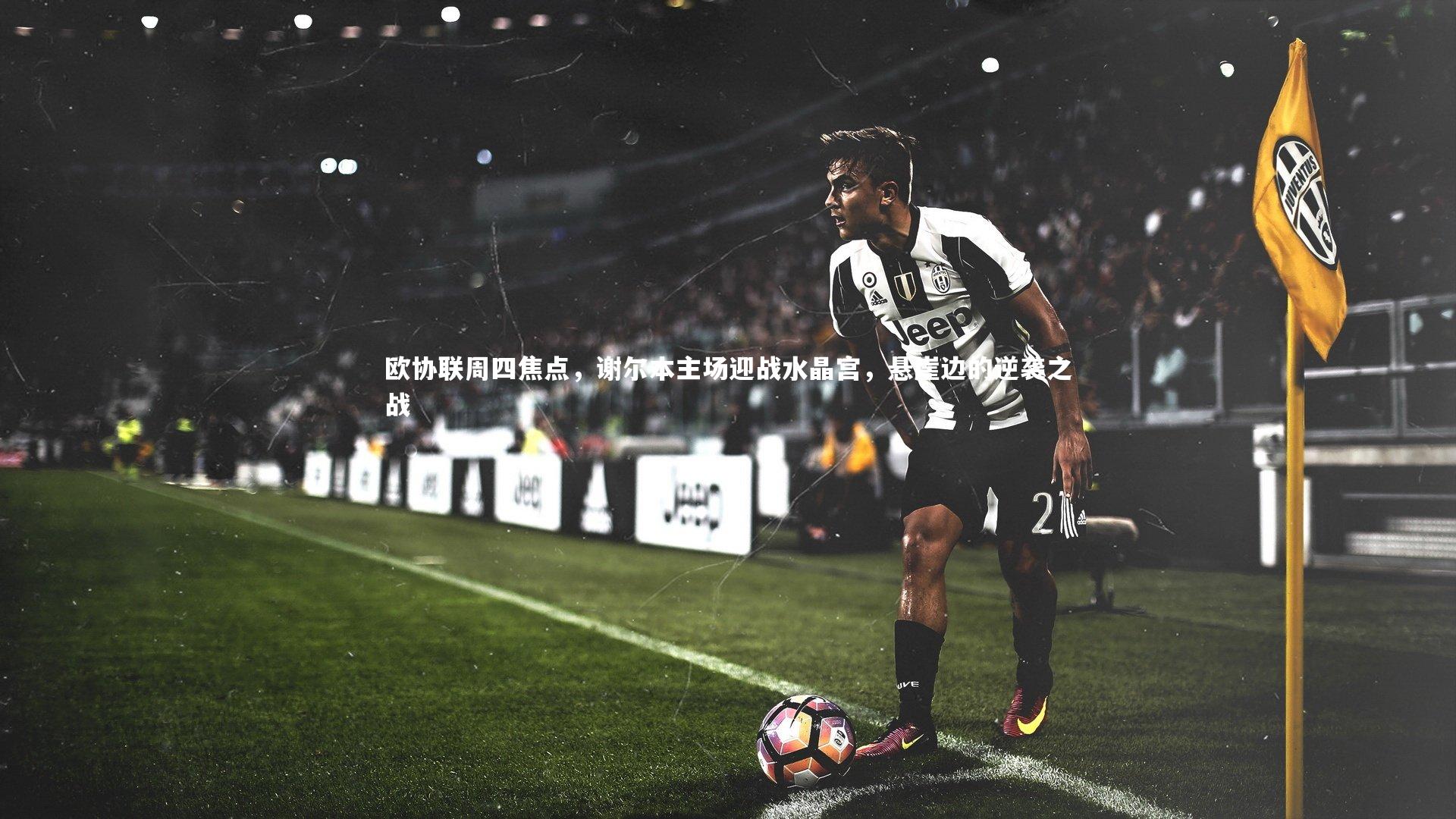 yy易游体育官网：欧协联周四焦点，谢尔本主场迎战水晶宫，悬崖边的逆袭之战